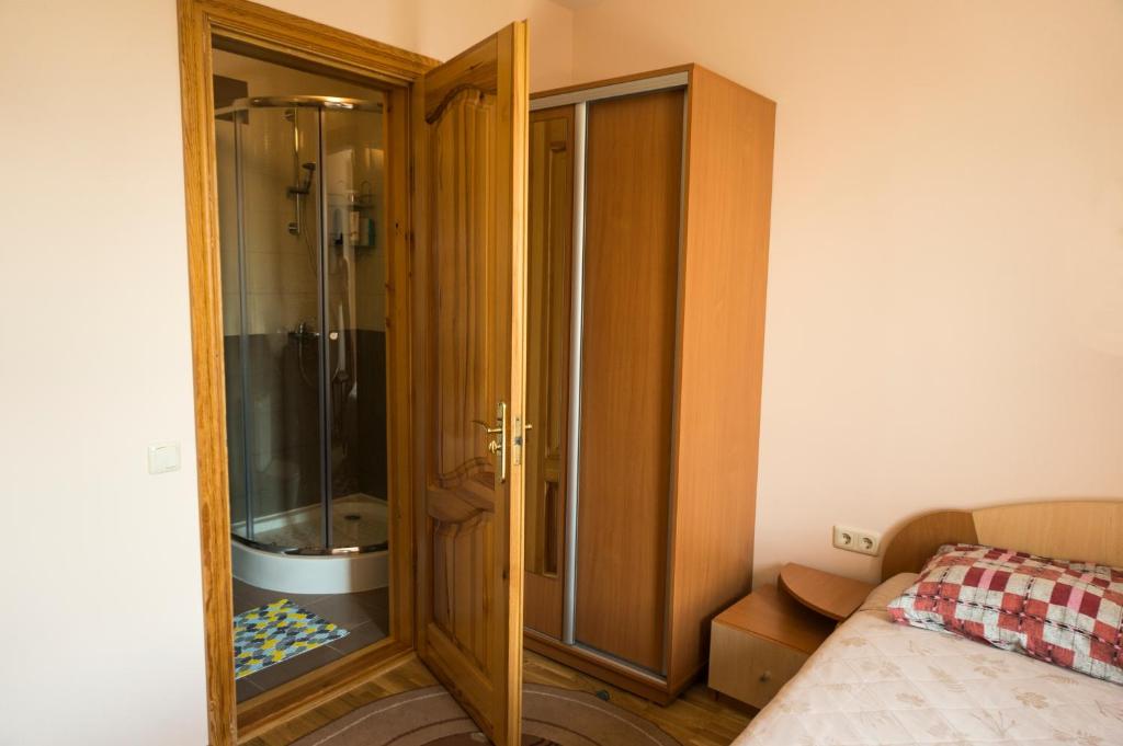 Viktoras Apartments room 2